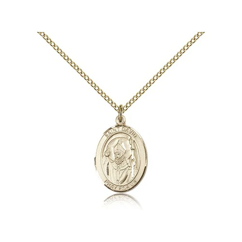 Gold Filled St. David of Wales Pendant w/ Chain