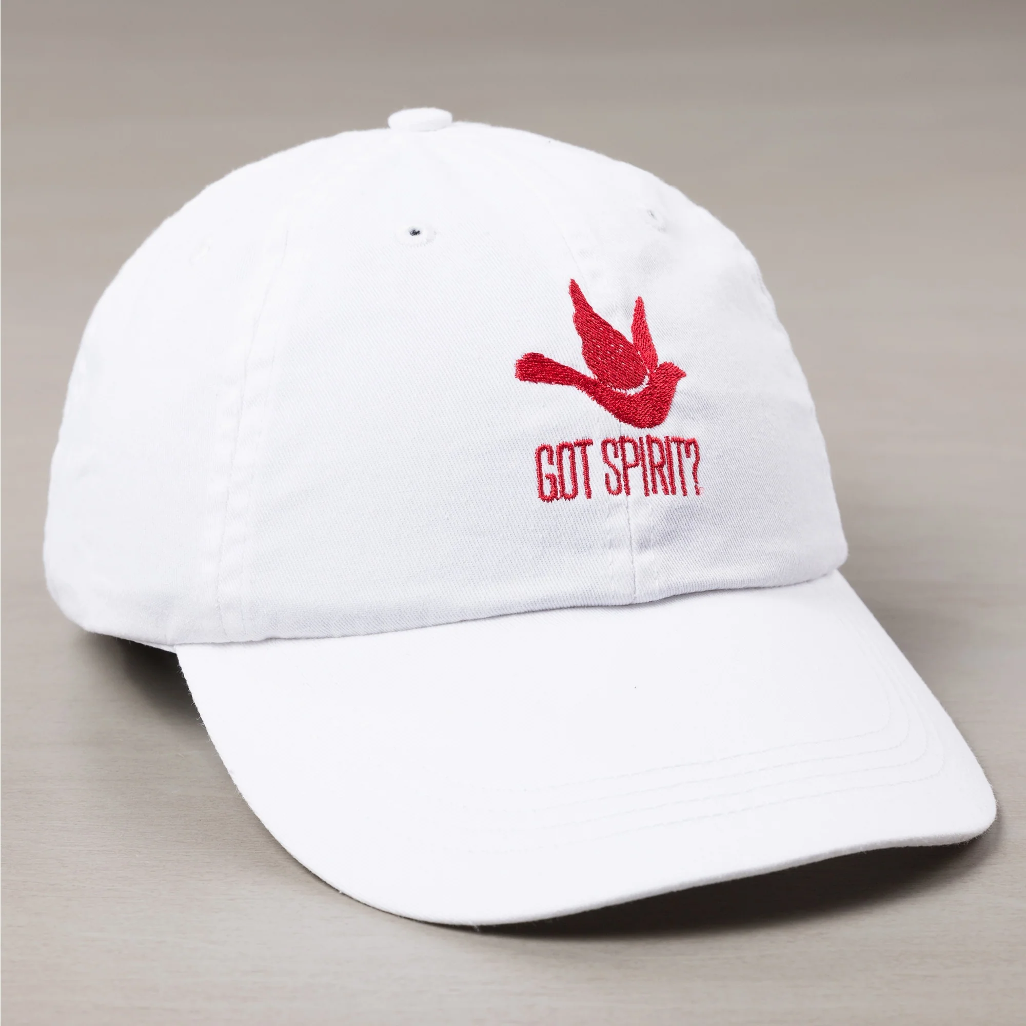 Got Spirit? Ball Cap - Image 3