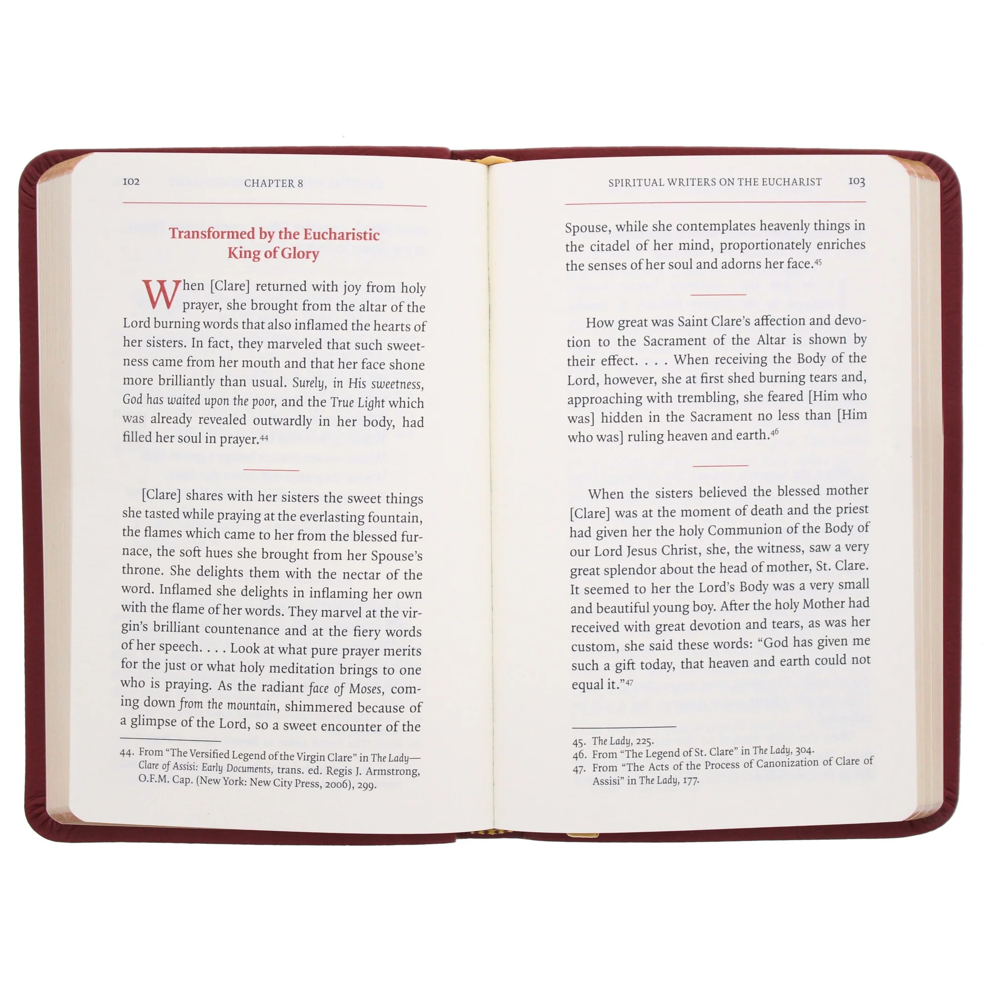 Gray Glass Blessed Sacrament Chaplet & Manual for Eucharistic Adoration (Gift Set) - Image 3