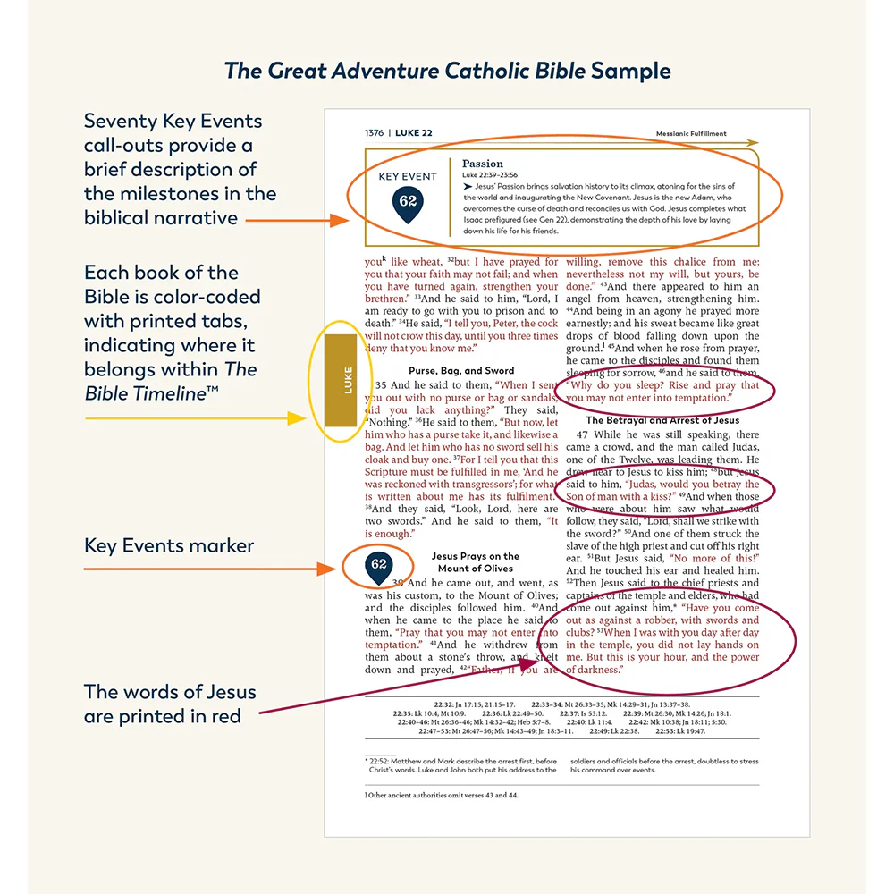 Great Adventure Bible - Image 6