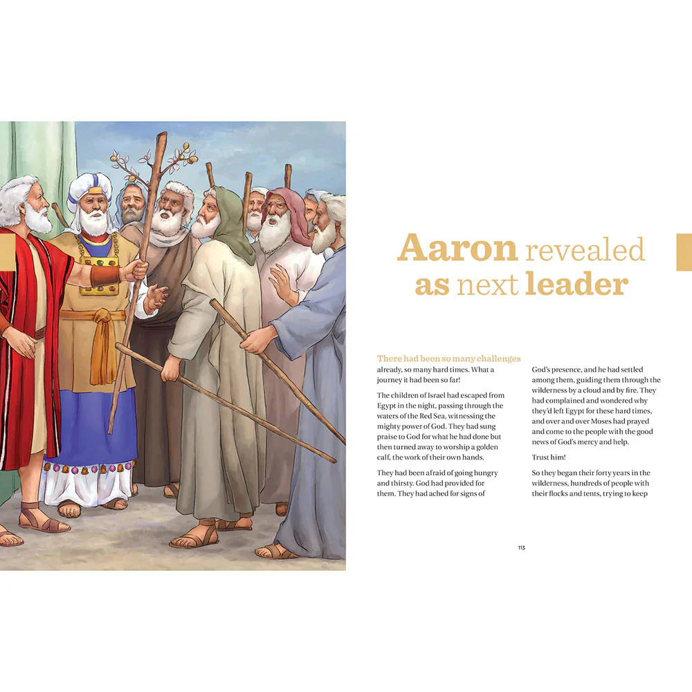 Great Adventure Kids Catholic Bible Chronicles - Image 4