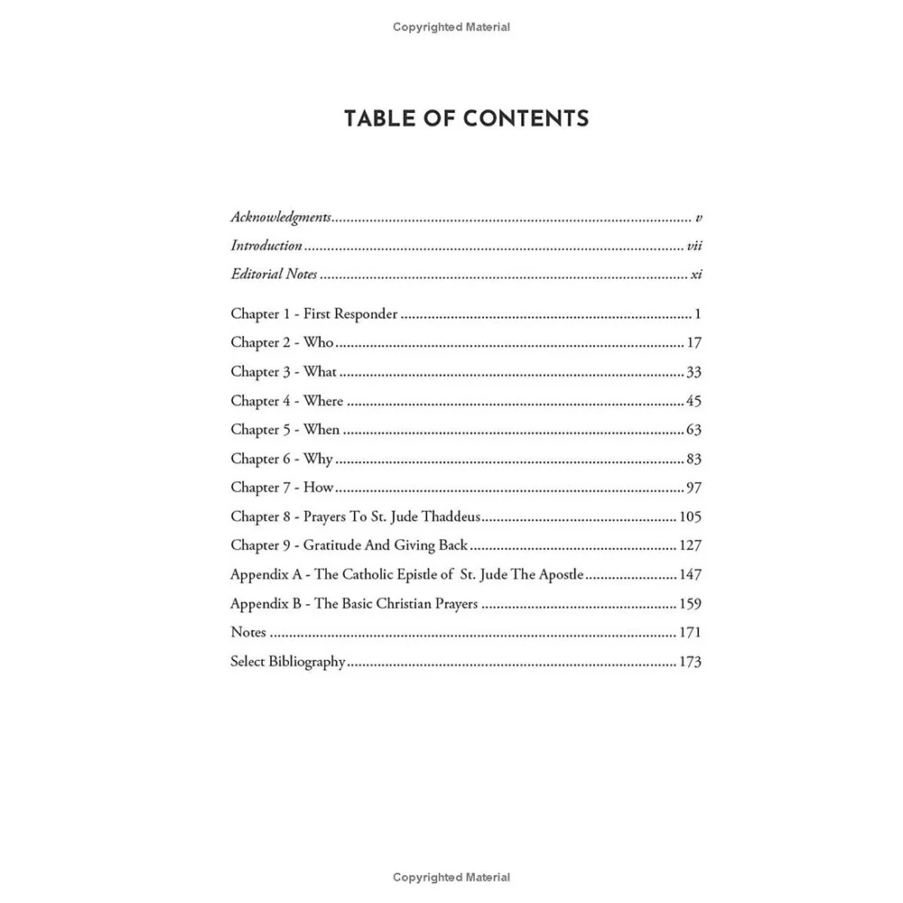 Heaven Help Us, Now! A Self Help Guide to God's Own First Responder, St. Jude Thaddeus - Image 4