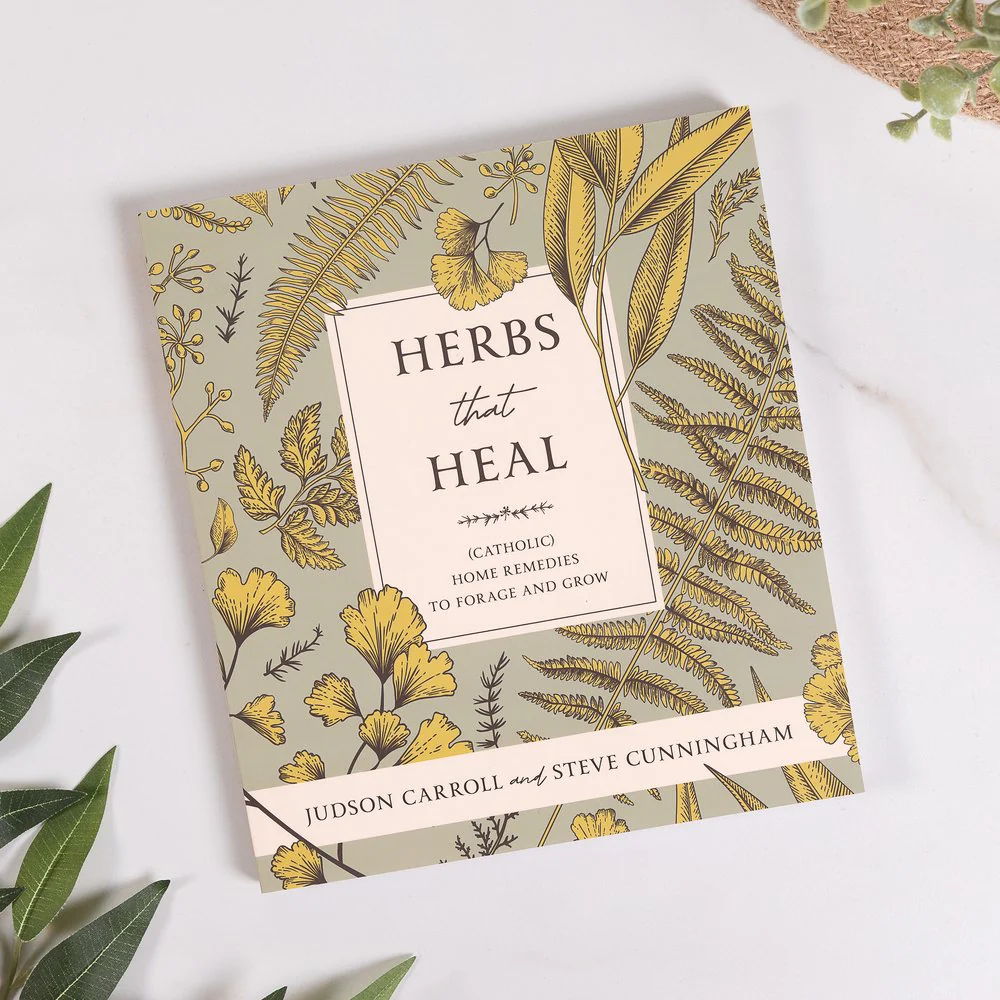 Herbs That Heal: (Catholic) Home Remedies to Forage and Grow - Image 2