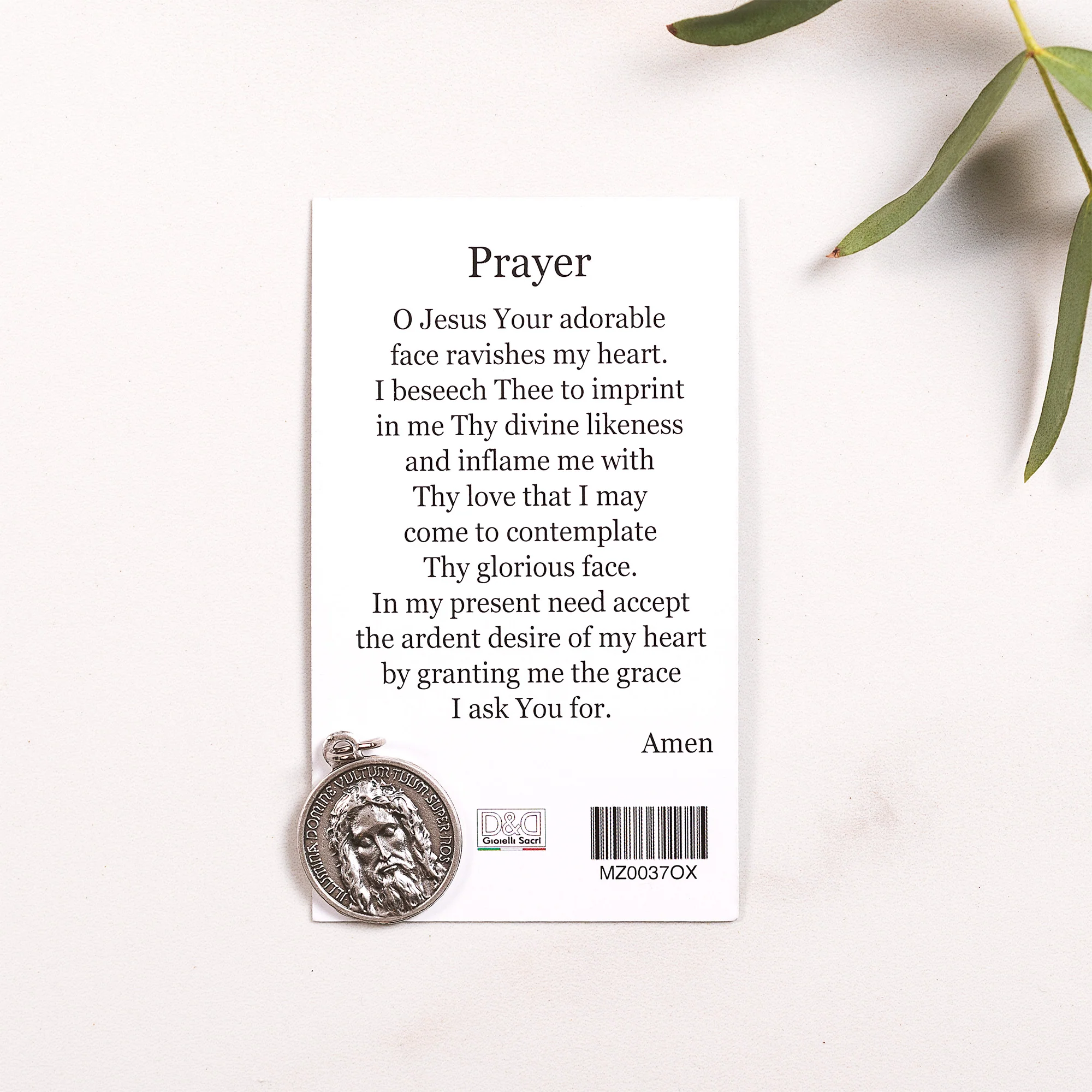 Holy Face Prayer Card & Medal - Image 4