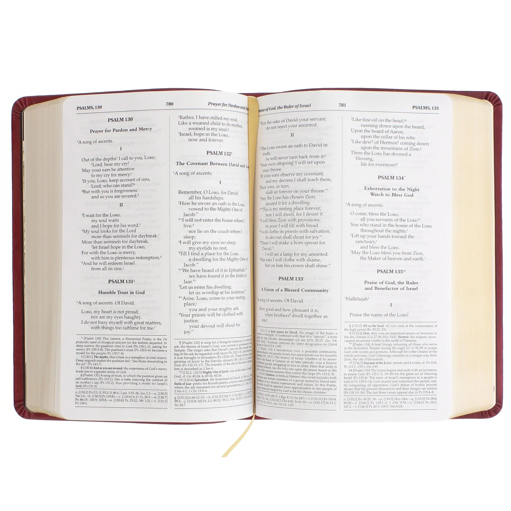 Holy Family Bible - Image 3