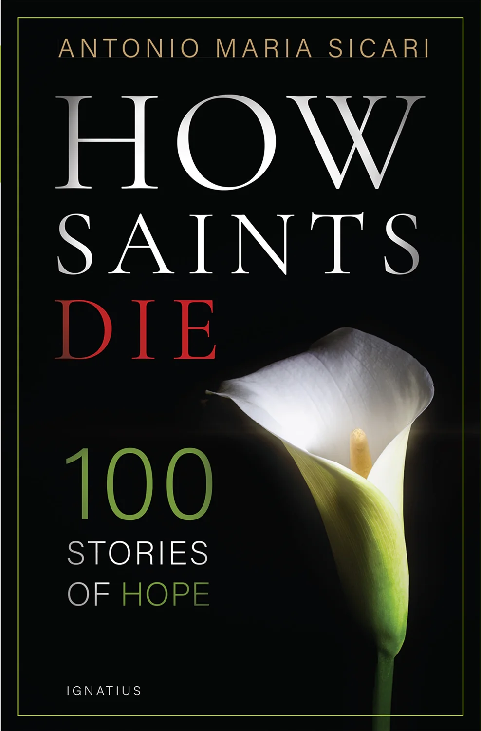 How Saints Die - 100 Stories of Hope