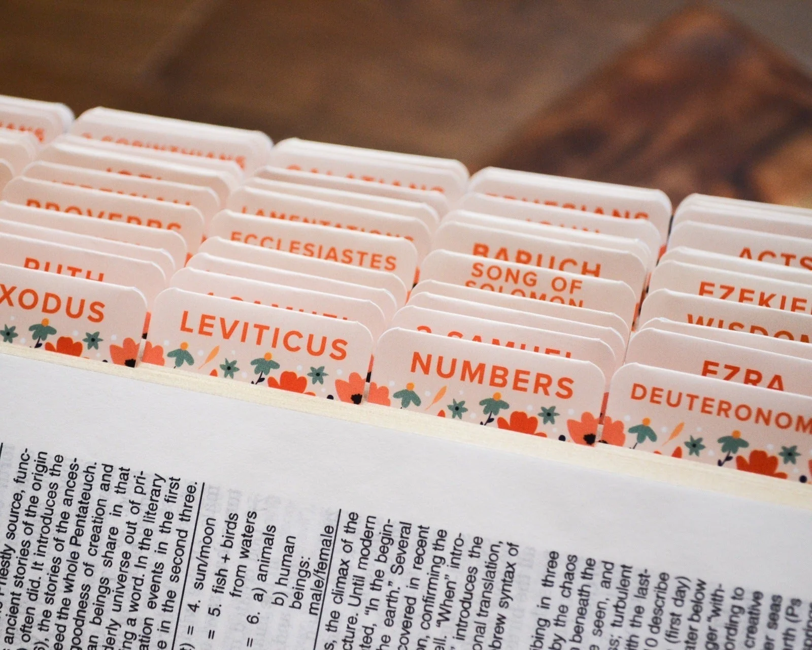 How the Wild Flowers Grow Catholic Bible Tabs - Image 3