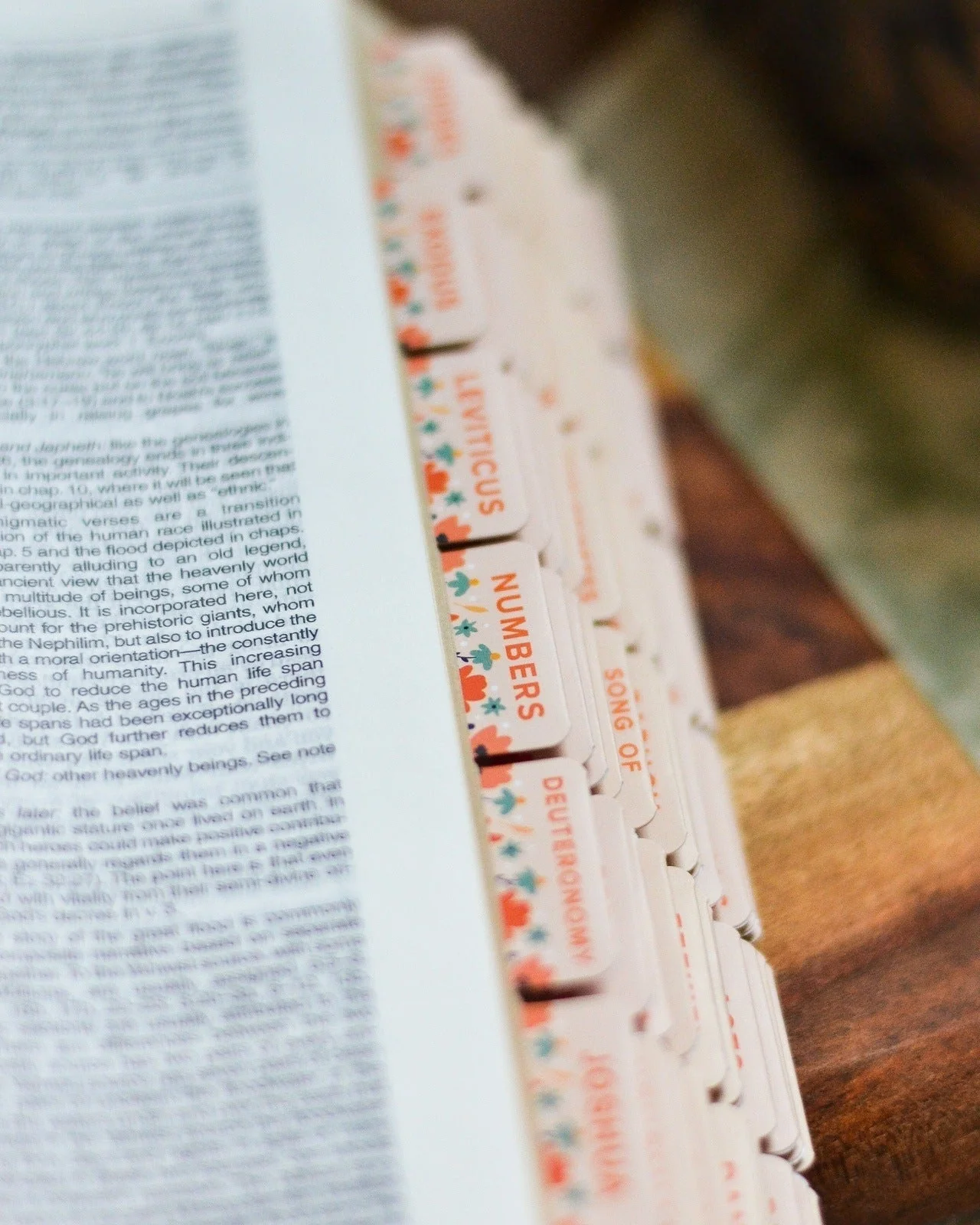 How the Wild Flowers Grow Catholic Bible Tabs - Image 4