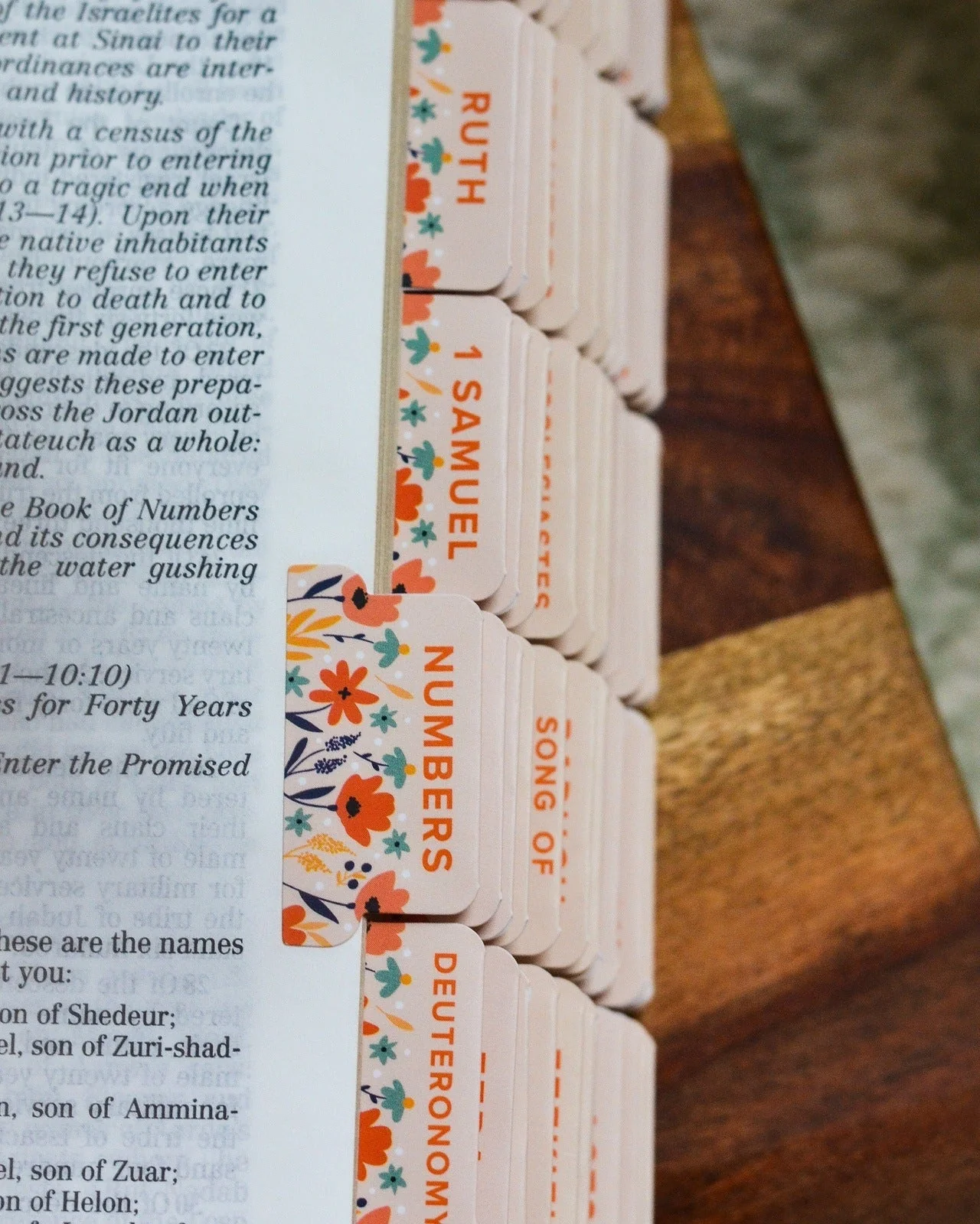 How the Wild Flowers Grow Catholic Bible Tabs - Image 6