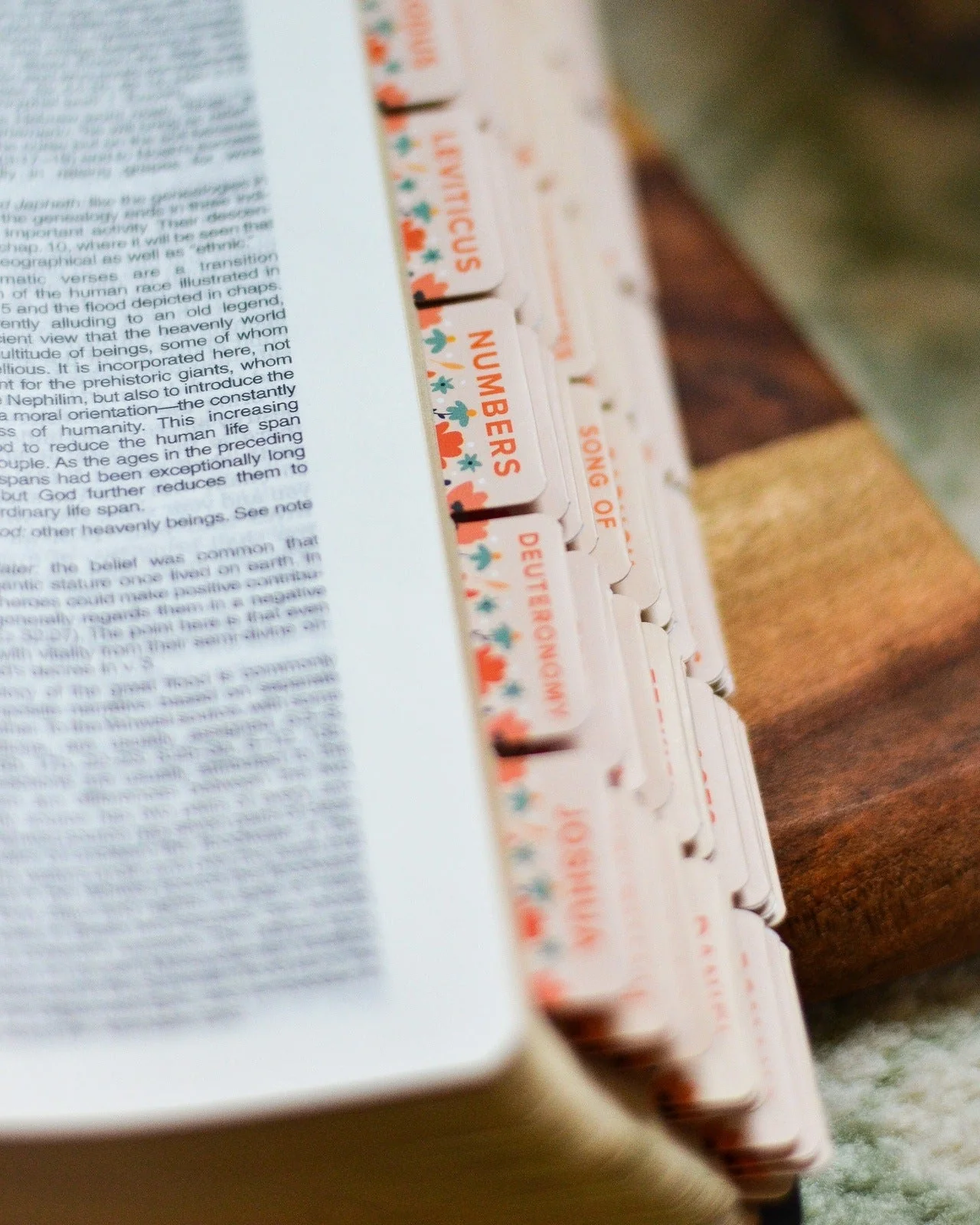 How the Wild Flowers Grow Catholic Bible Tabs - Image 7