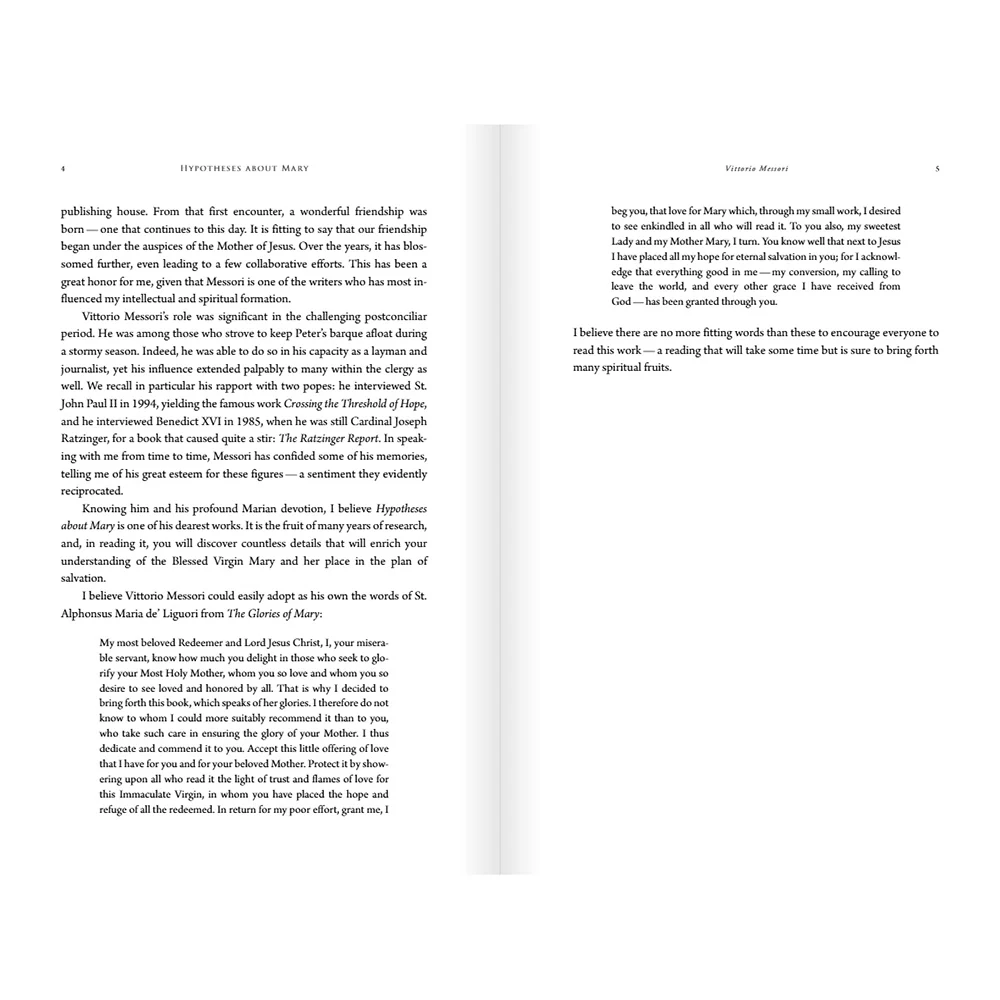 Hypotheses About Mary: Facts, Clues, Enigmas - Image 6