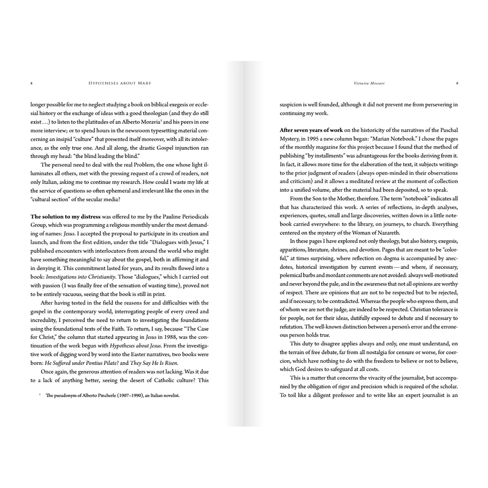 Hypotheses About Mary: Facts, Clues, Enigmas - Image 8