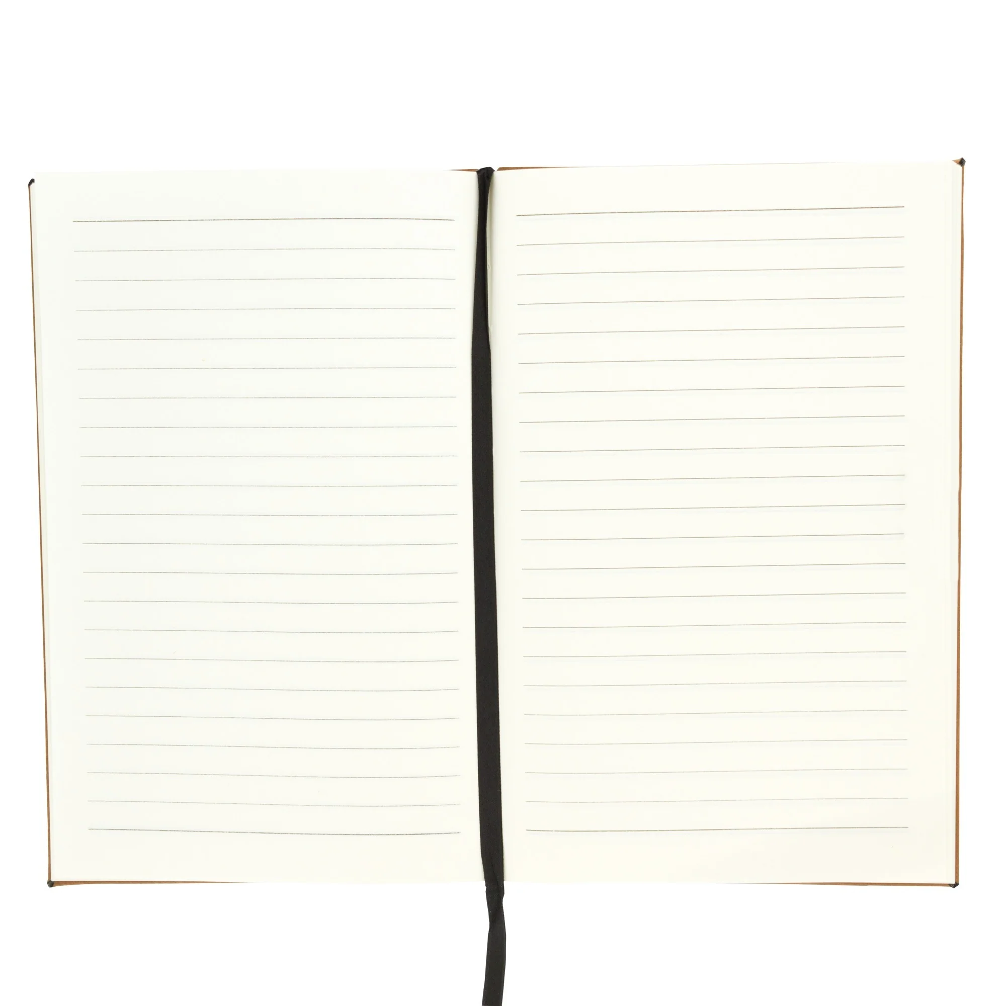 I firmly resolve. Journal - Image 3