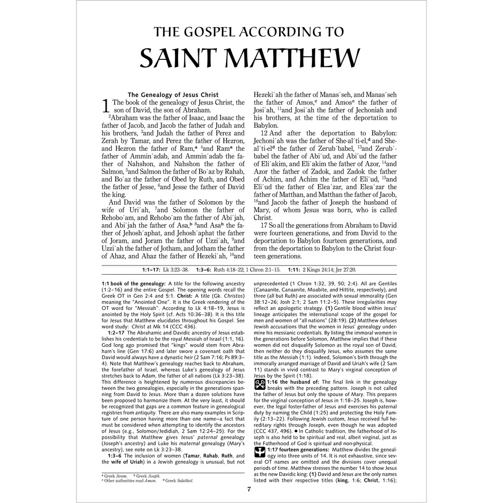 Ignatius Catholic Study Bible - New Testament - Image 3