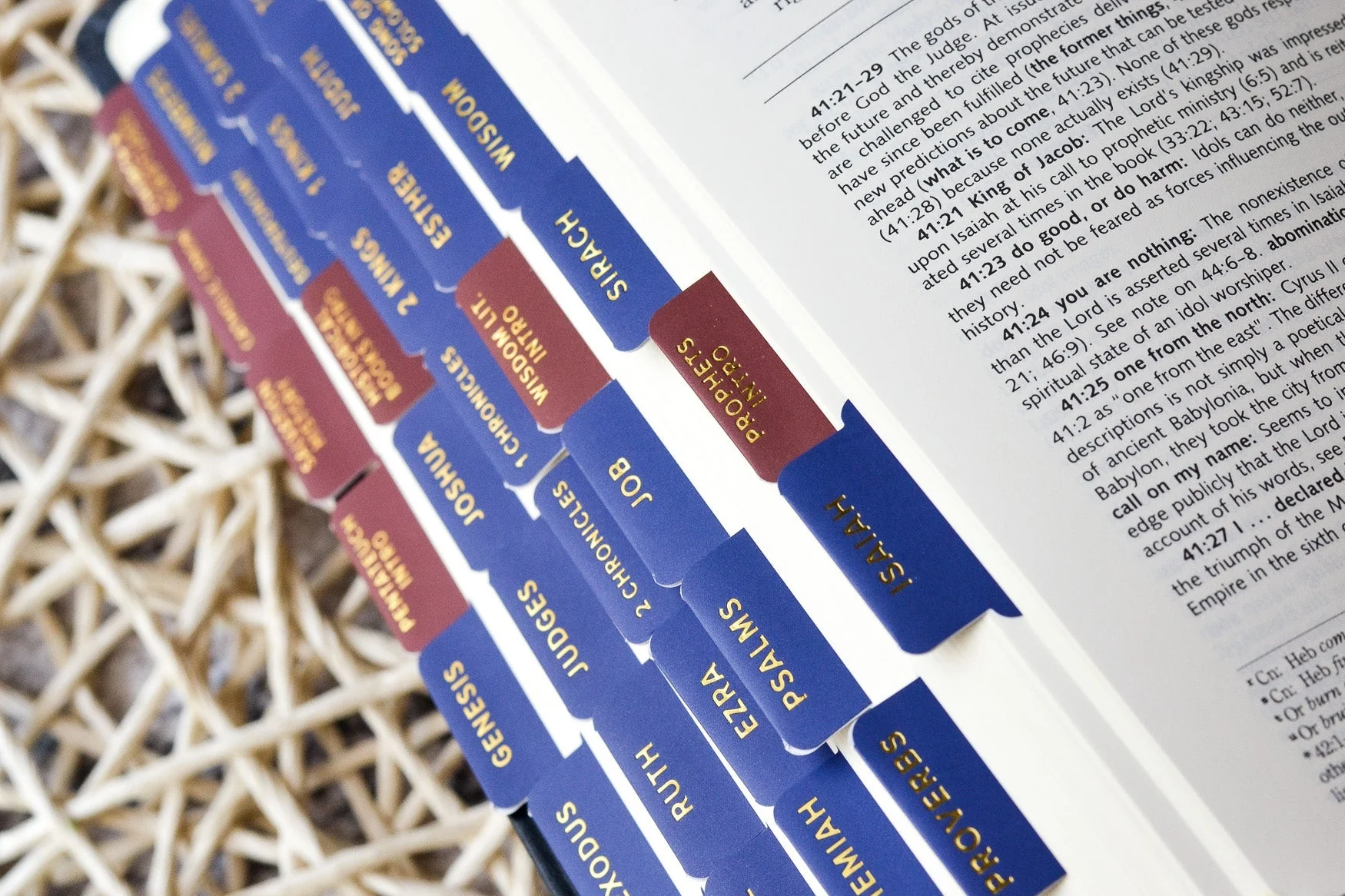 Ignatius Study Catholic Bible Tabs - Image 11