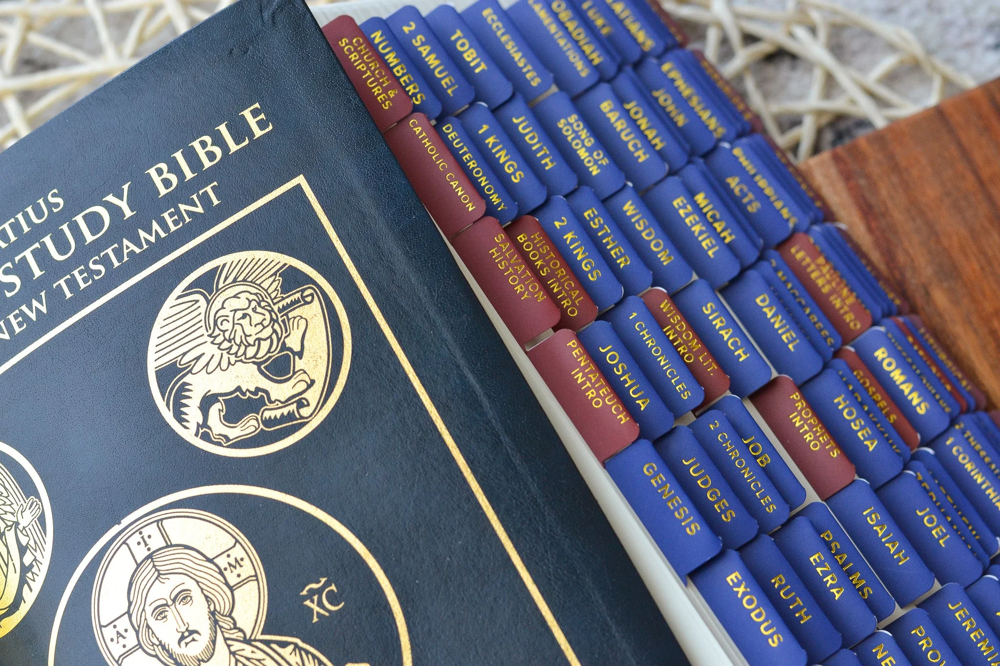 Ignatius Study Catholic Bible Tabs - Image 4