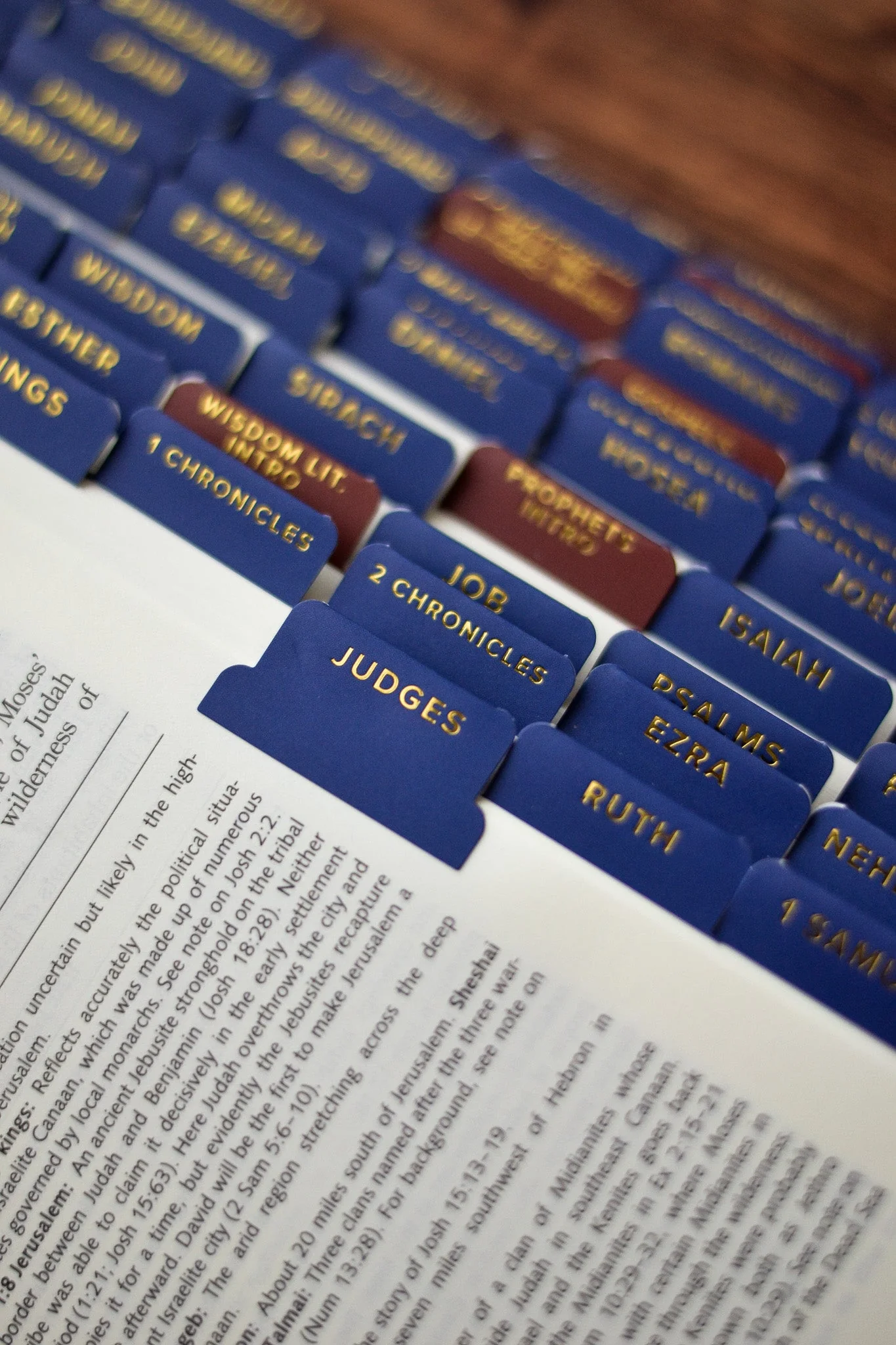 Ignatius Study Catholic Bible Tabs - Image 7
