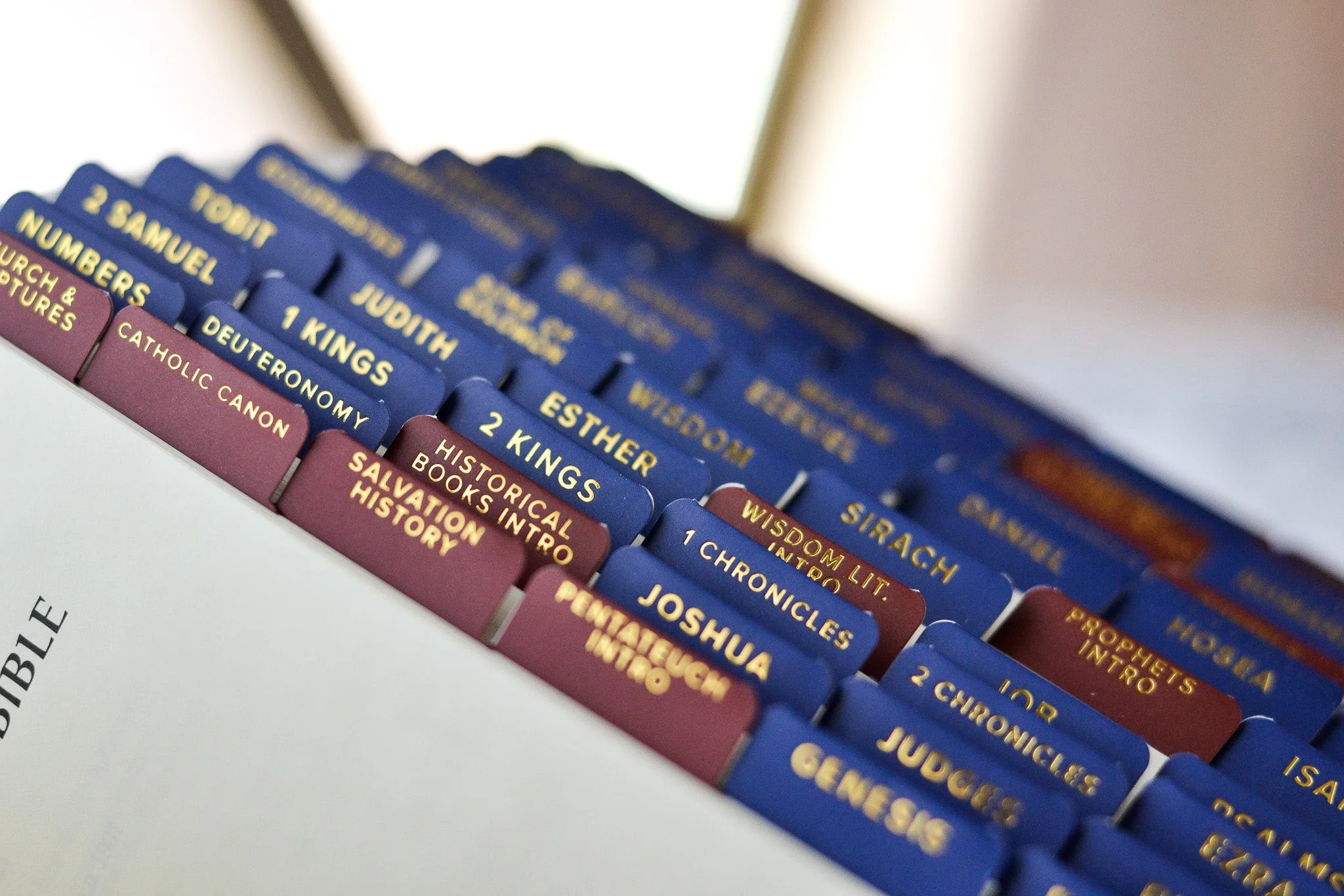 Ignatius Study Catholic Bible Tabs - Image 9