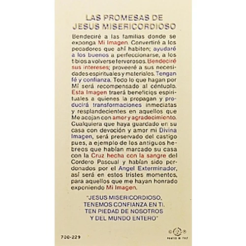 Las Promesas de Jesus Misericordioso (Promises of Divine Mercy ) - Spanish Prayer Card - Image 2