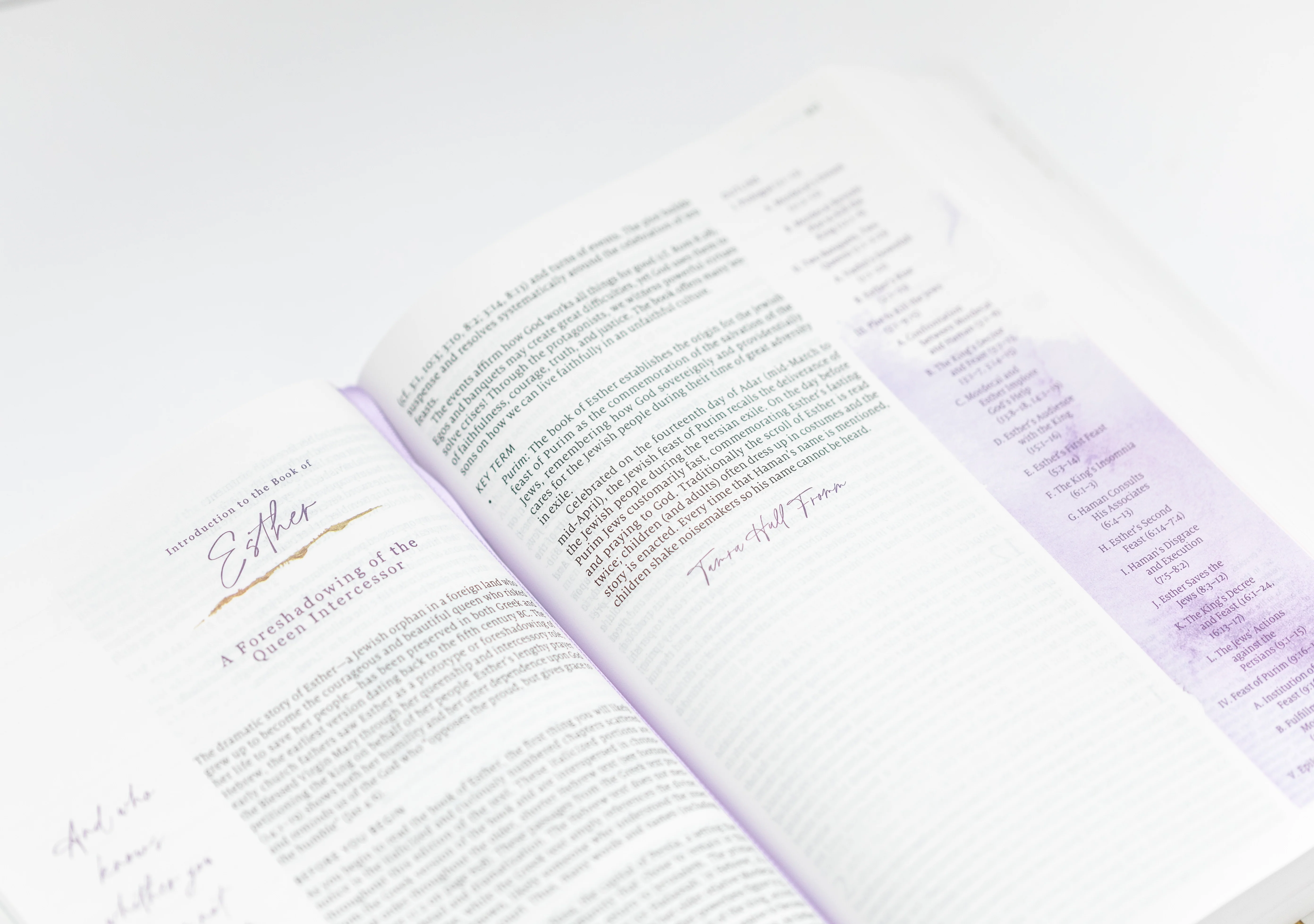 Living the Word Catholic Women's Bible - Image 5