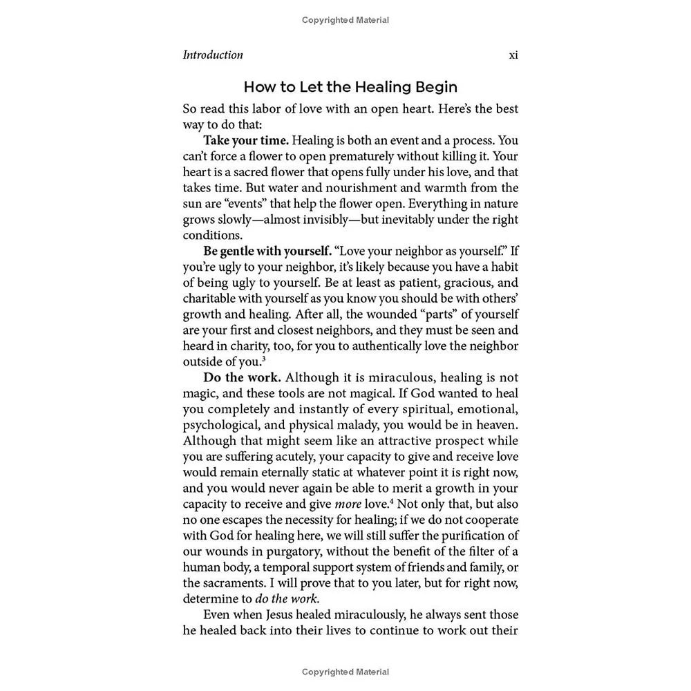 Love Heals: A Biblical Plan to Restore Our Emotions, Memories, Souls, and Bodies - Image 14