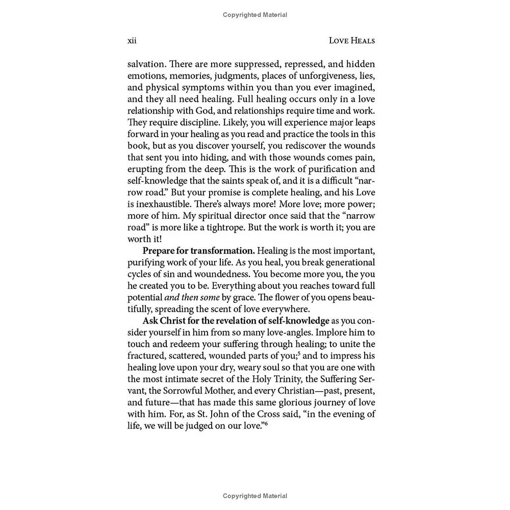 Love Heals: A Biblical Plan to Restore Our Emotions, Memories, Souls, and Bodies - Image 15