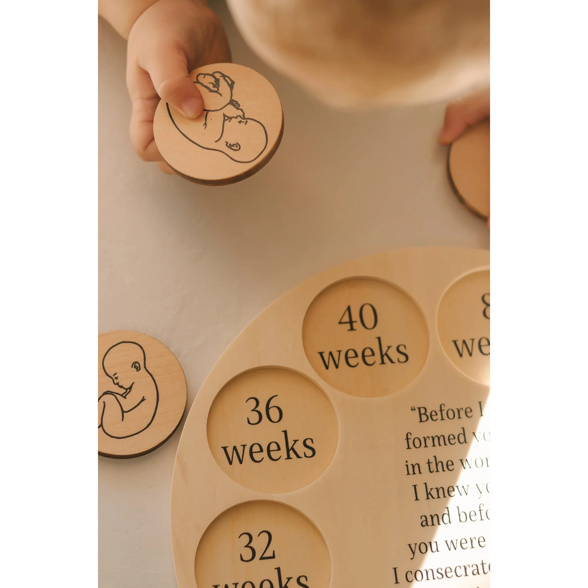Miracle of Life Wooden Puzzle - Image 2