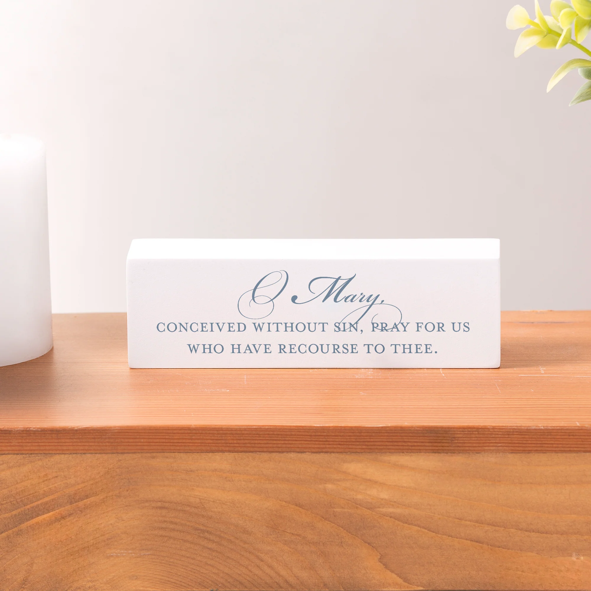 Miraculous Medal Prayer Block