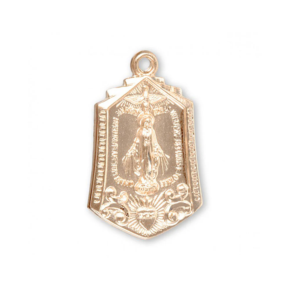 Miraculous Medal with Sacred Heart Necklace - Silver or Gold over Silver - Image 2