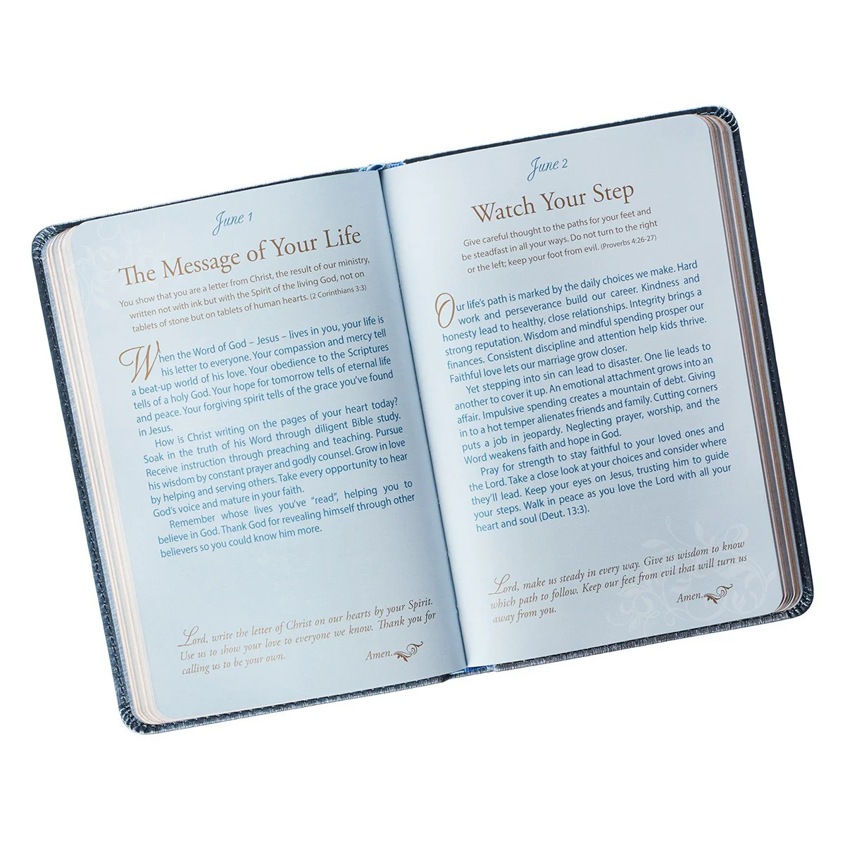 Mr. & Mrs. 366 Devotions for Couples - Blue Faux Leather - Image 3