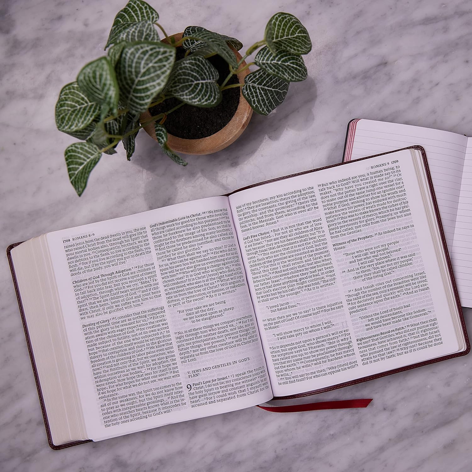NABRE Extra Large Print Leathersoft Bible -Multiple Colors - Image 4