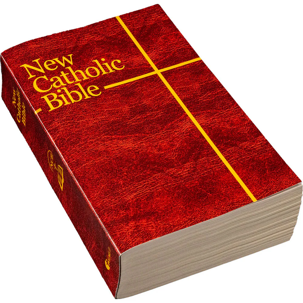 NCB Bible Student Edition - Image 2
