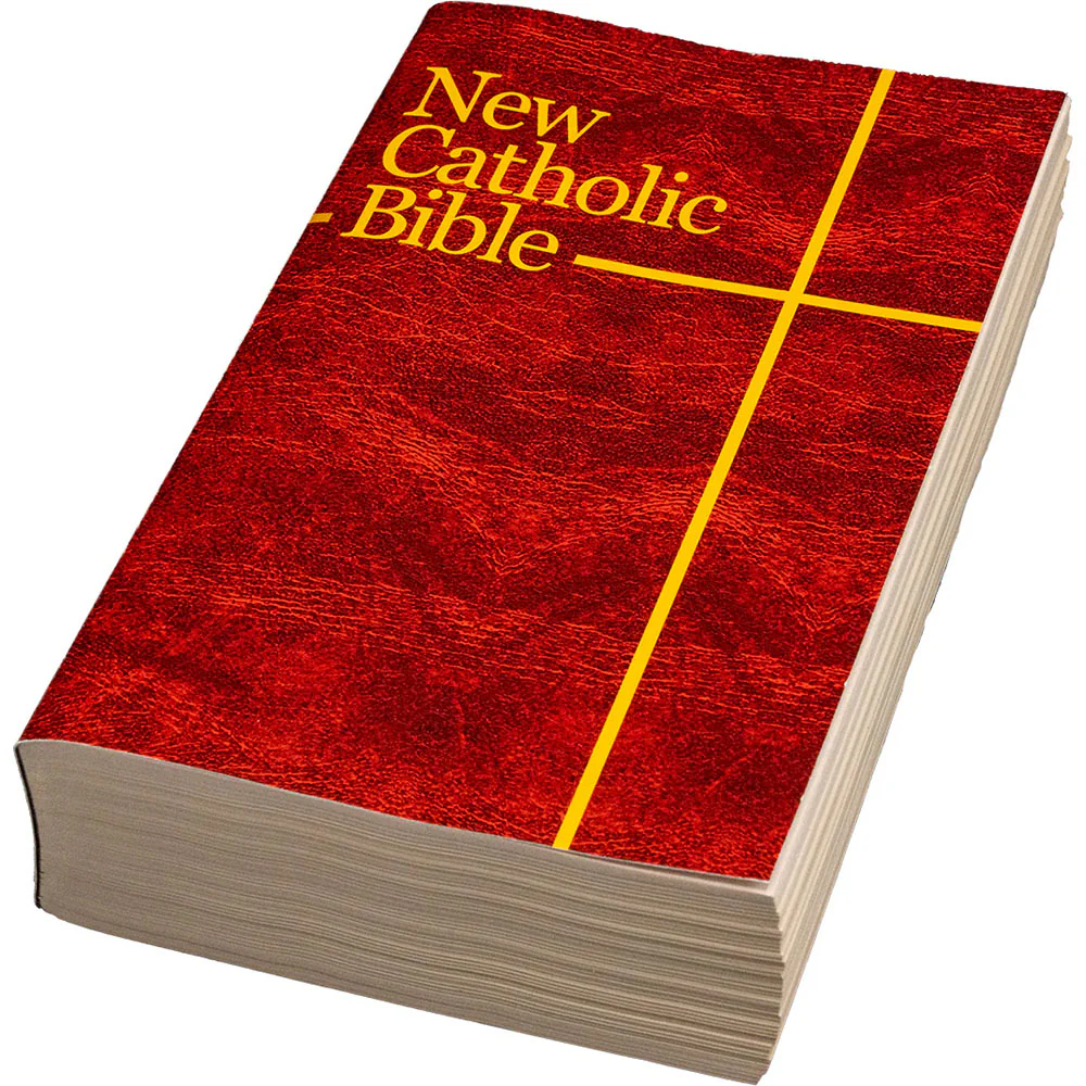 NCB Bible Student Edition - Image 3