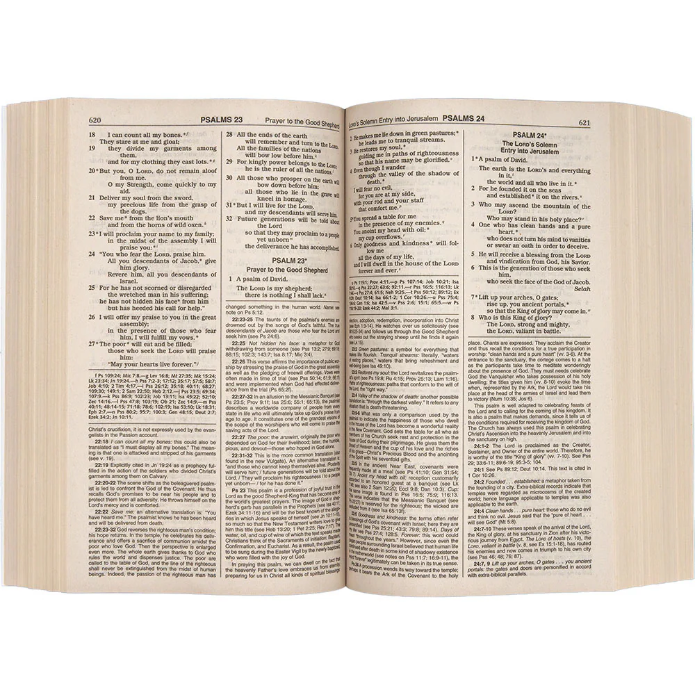 NCB Bible Student Edition - Image 4