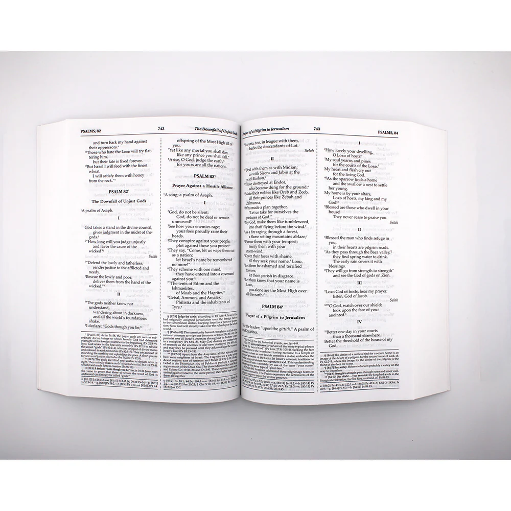 New American Bible - Revised Edition - Image 4