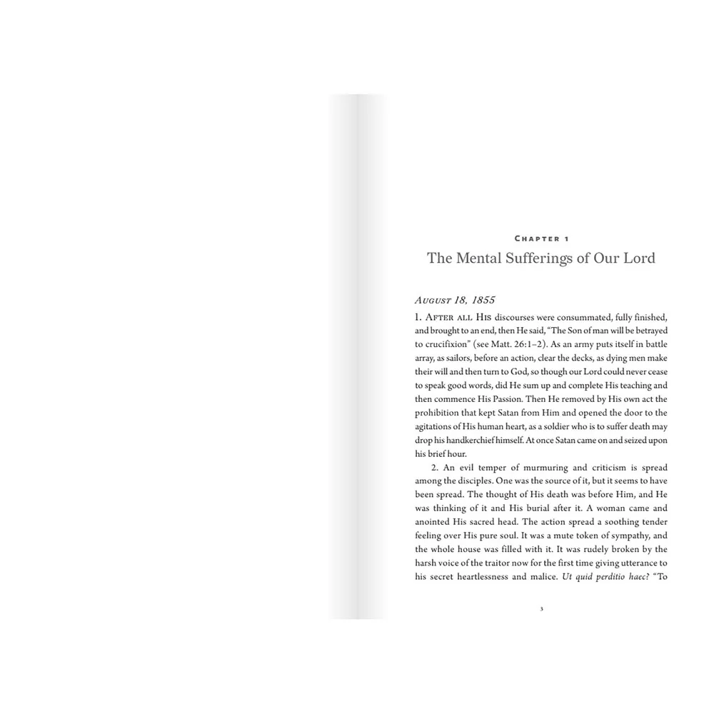 Newman on Lent: Meditations and Sermons - Image 3