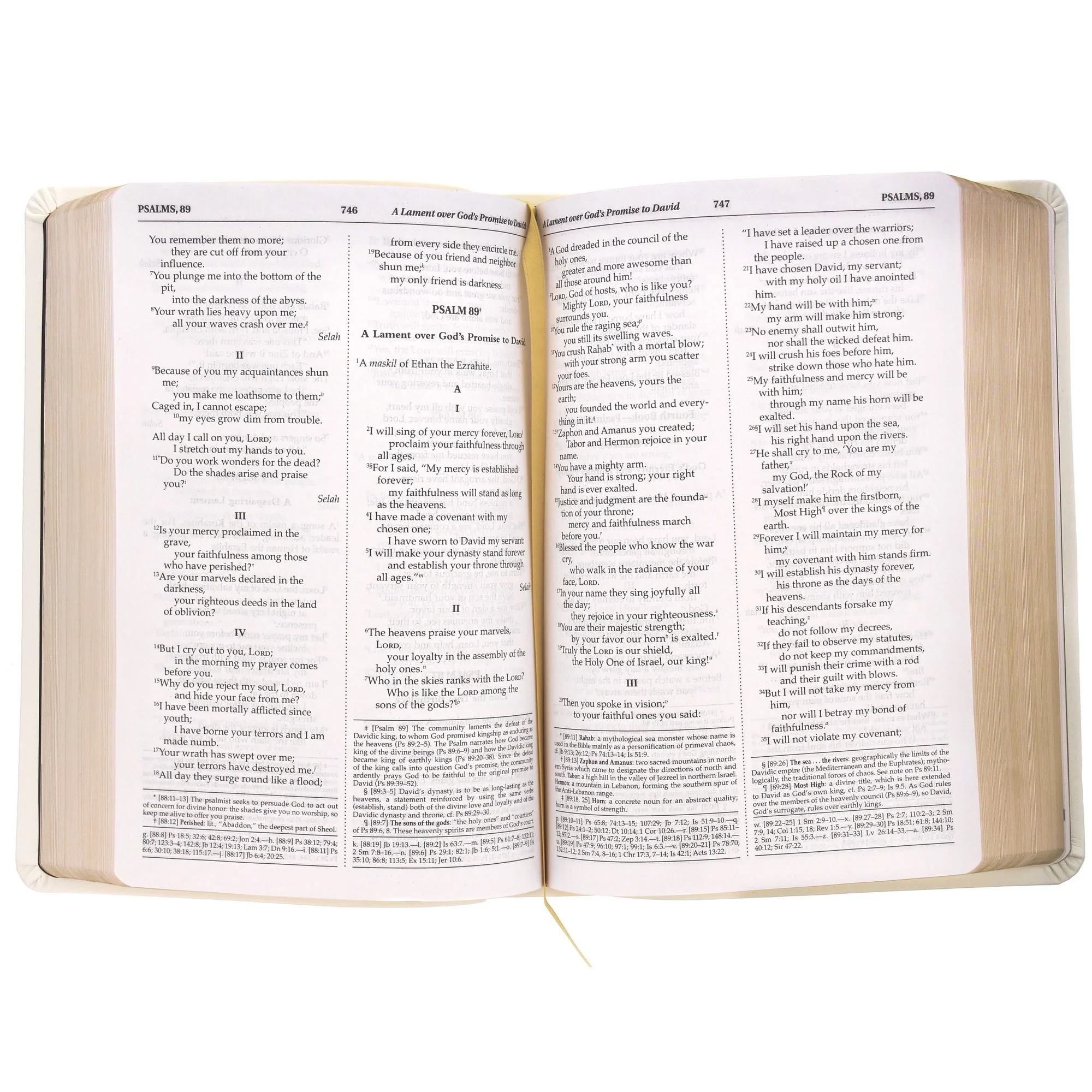 Not All Who Wander Bible - Image 3