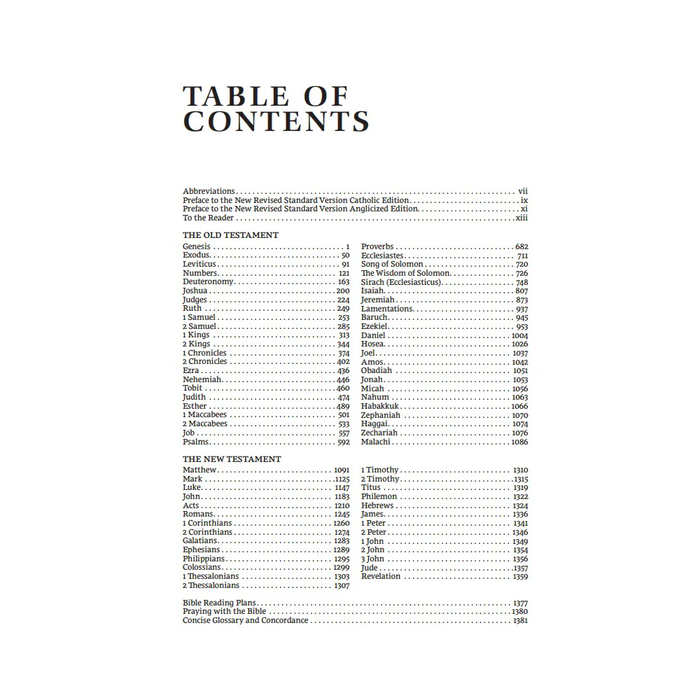 NRSV Catholic Bible Large Print Standard Edition - Multiple Colors - Image 10