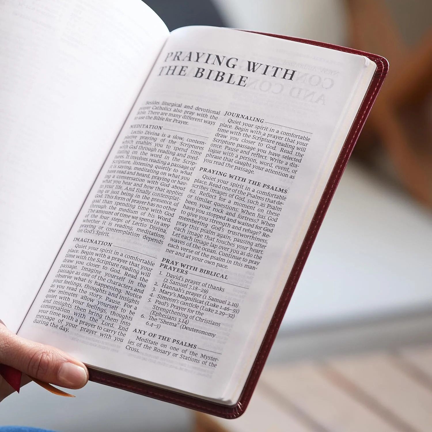 NRSV Catholic Bible Large Print Standard Edition - Multiple Colors - Image 5