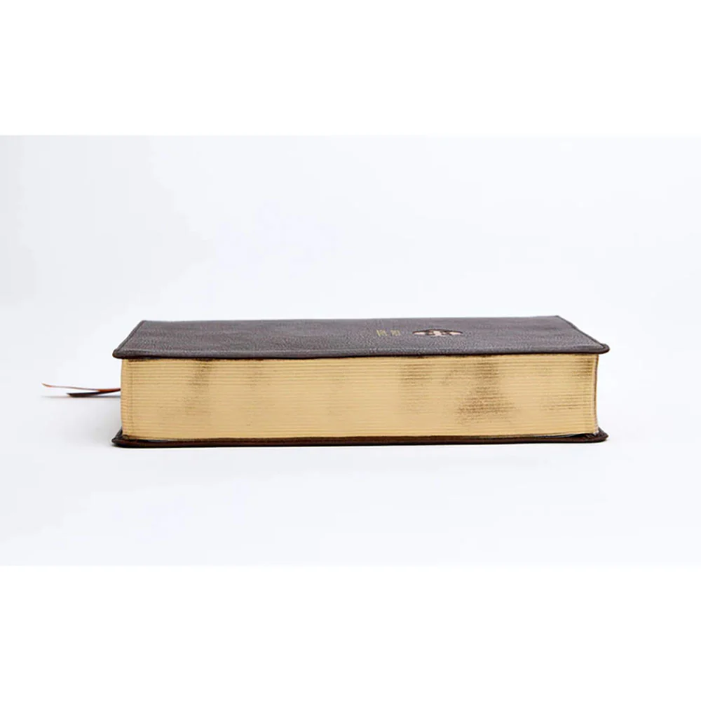NRSV Catholic Journaling Bible - Brown Leathersoft - Image 2