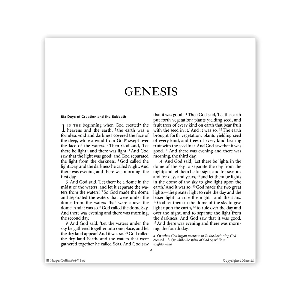 NRSV Extra Large Print Catholic Bible - Navy Leathersoft - Image 3
