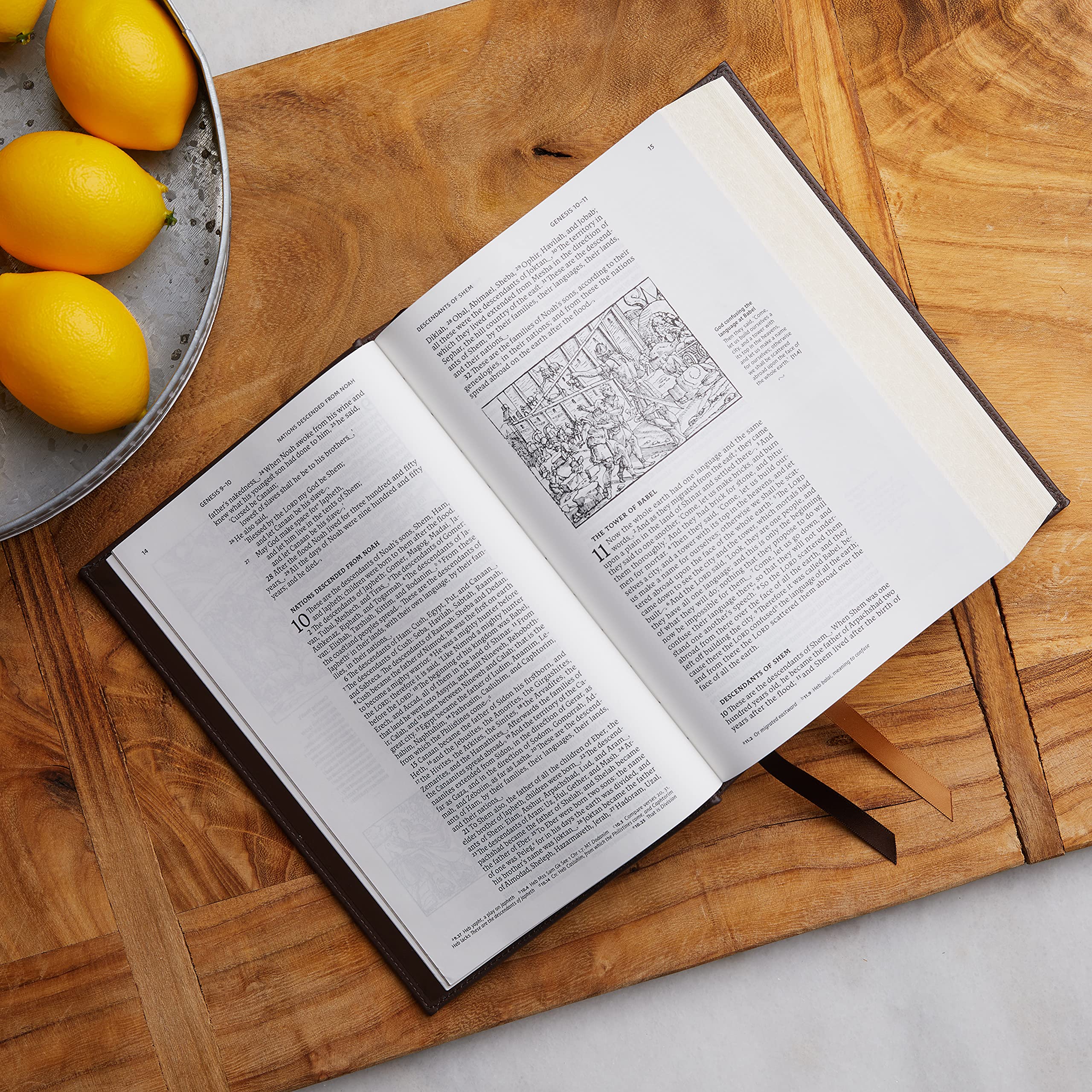 NRSV Illustrated Catholic Bible (Leathersoft) - Image 2