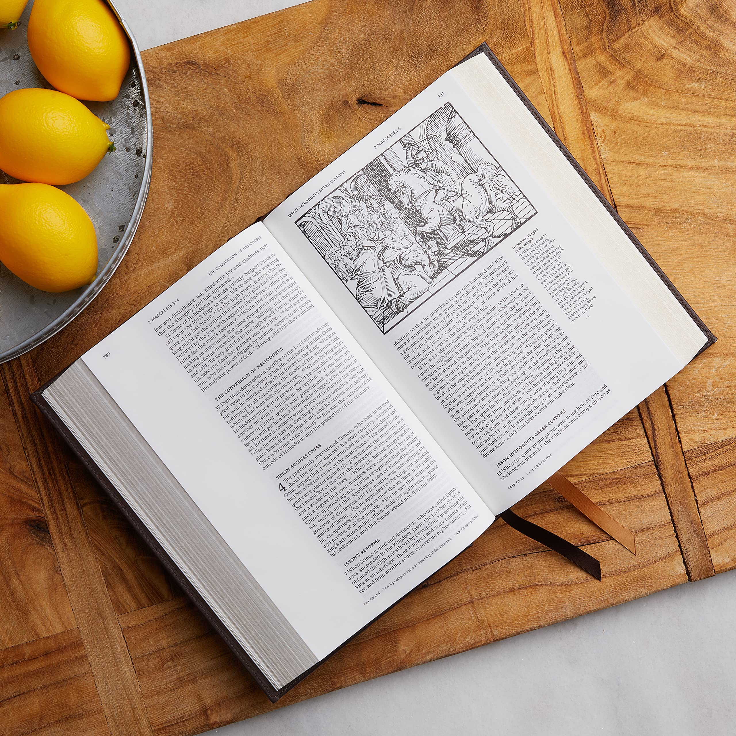 NRSV Illustrated Catholic Bible (Leathersoft) - Image 3