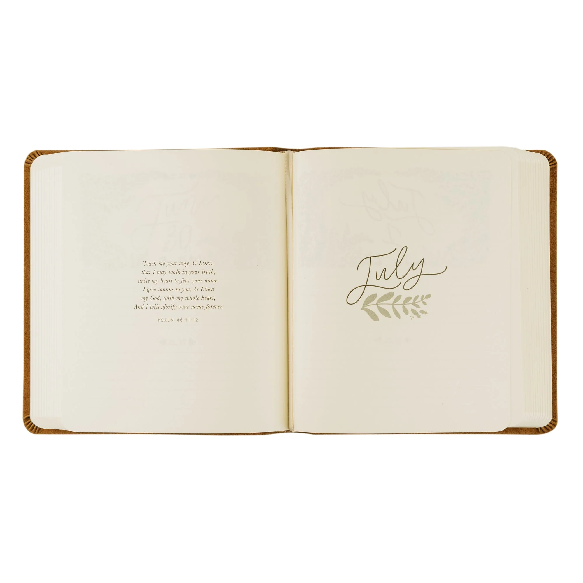 One Thing I Ask 5-Year Prayer Journal: Amelia Theme - Image 6