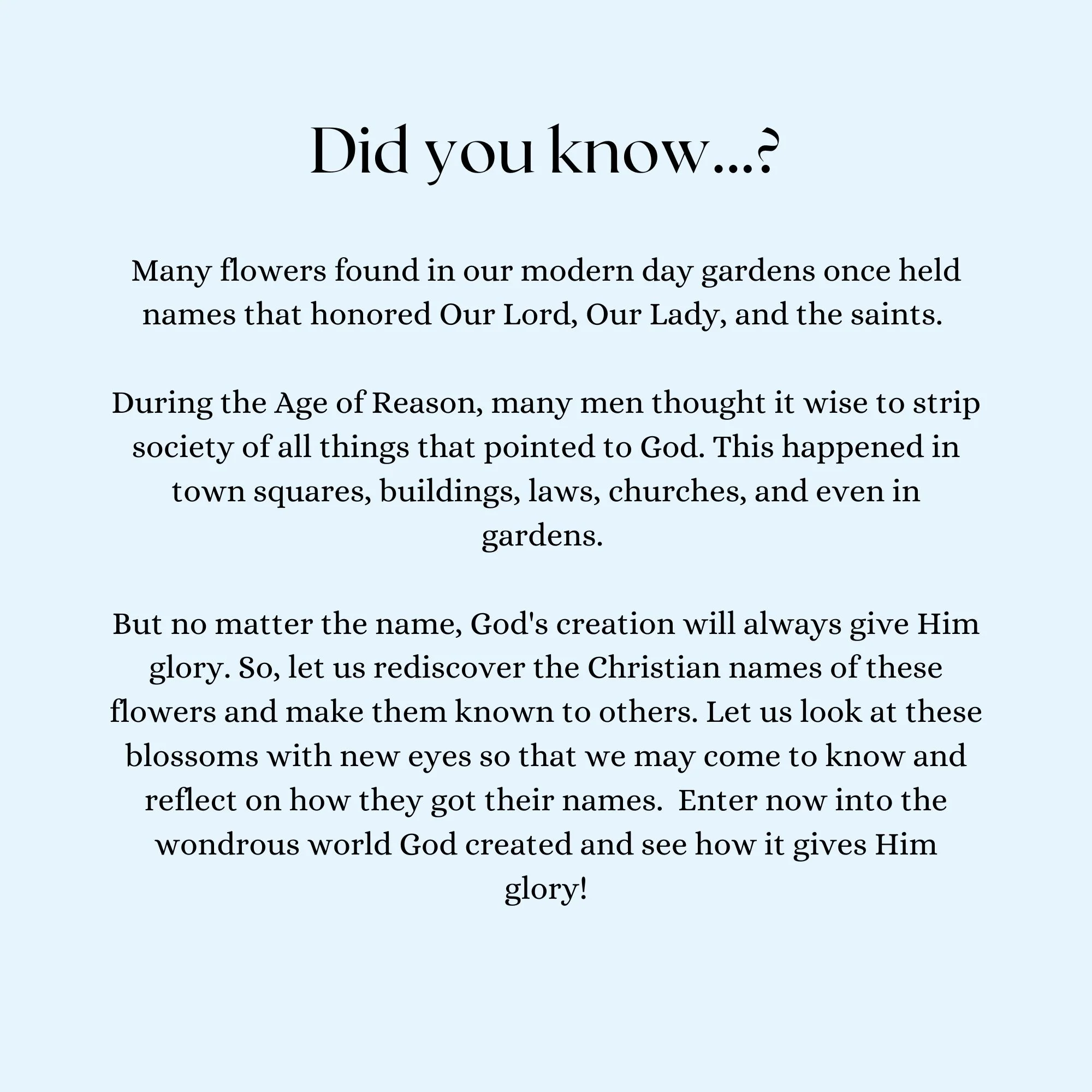 Our Lady's Garden: A Parent-Child Reader - Image 2