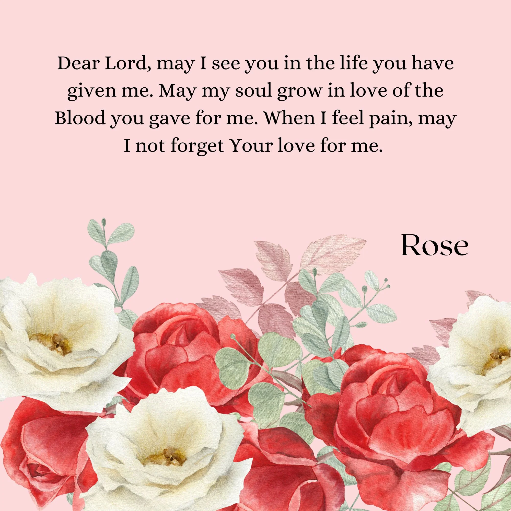 Our Lady's Garden: A Parent-Child Reader - Image 3