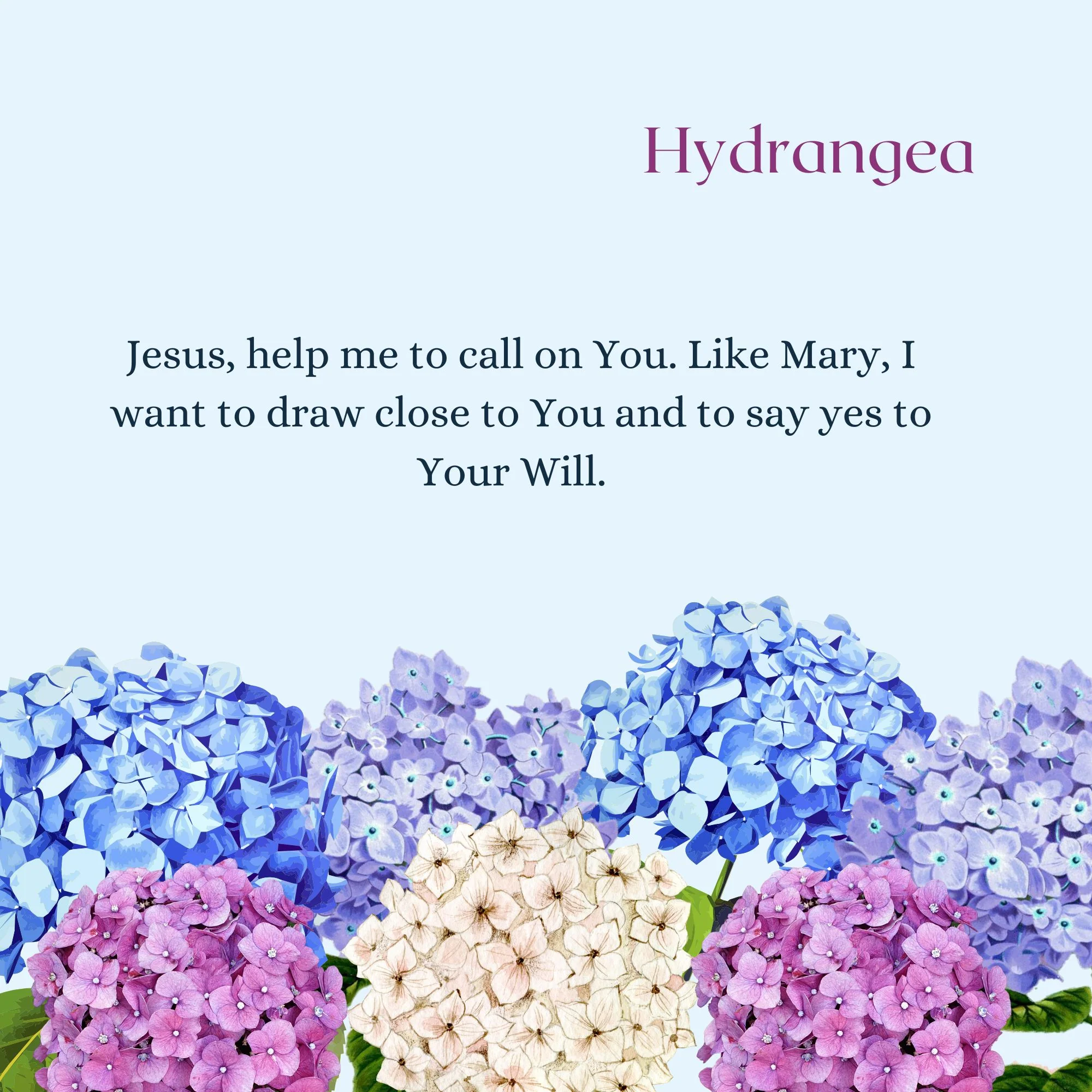 Our Lady's Garden: A Parent-Child Reader - Image 6