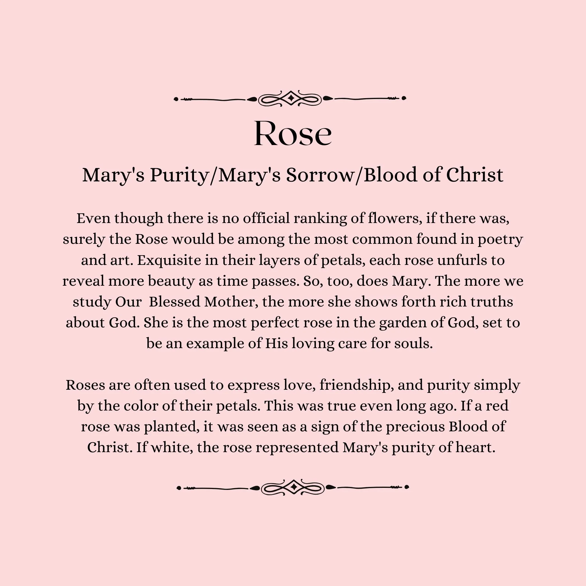 Our Lady's Garden: A Parent-Child Reader - Image 7