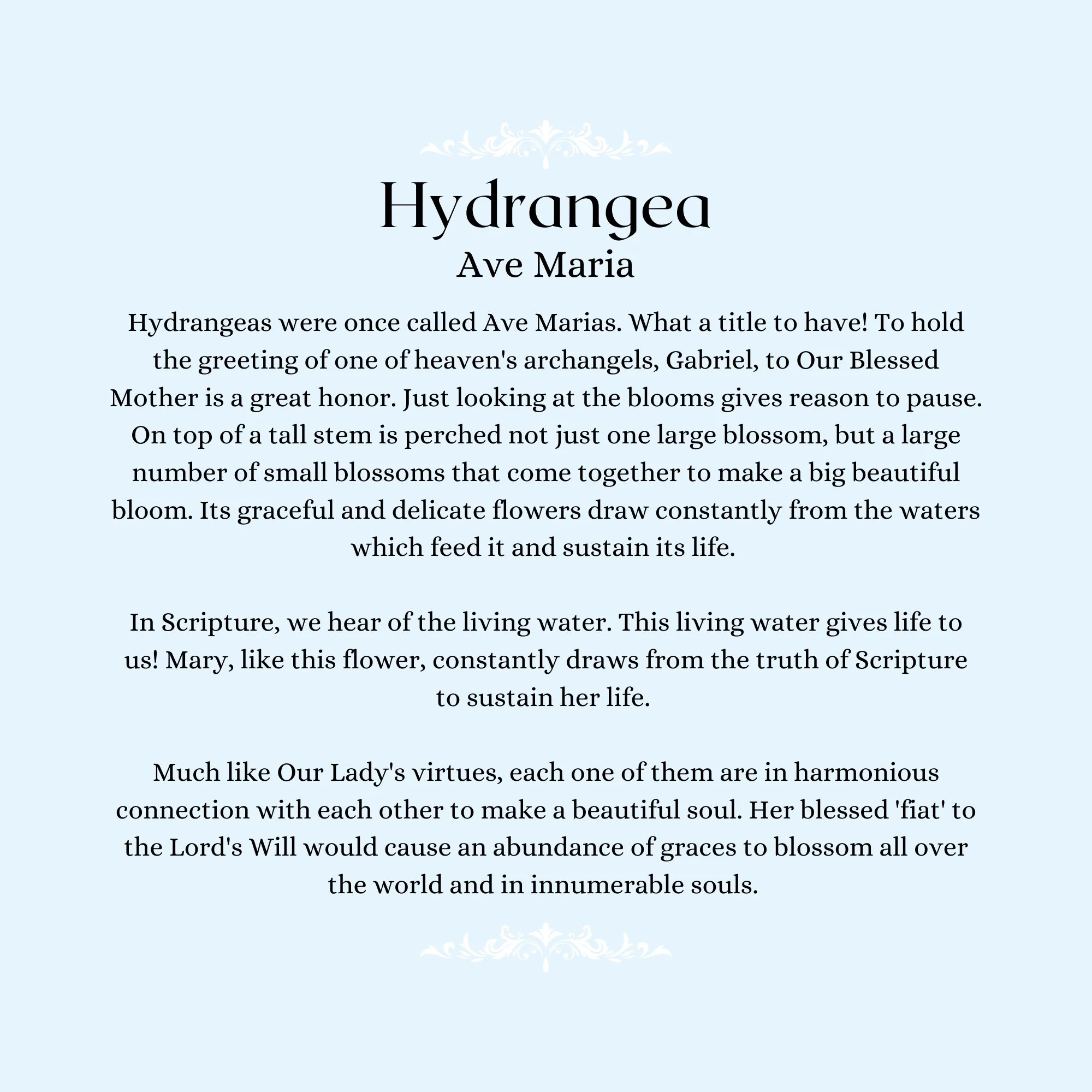 Our Lady's Garden: A Parent-Child Reader - Image 8