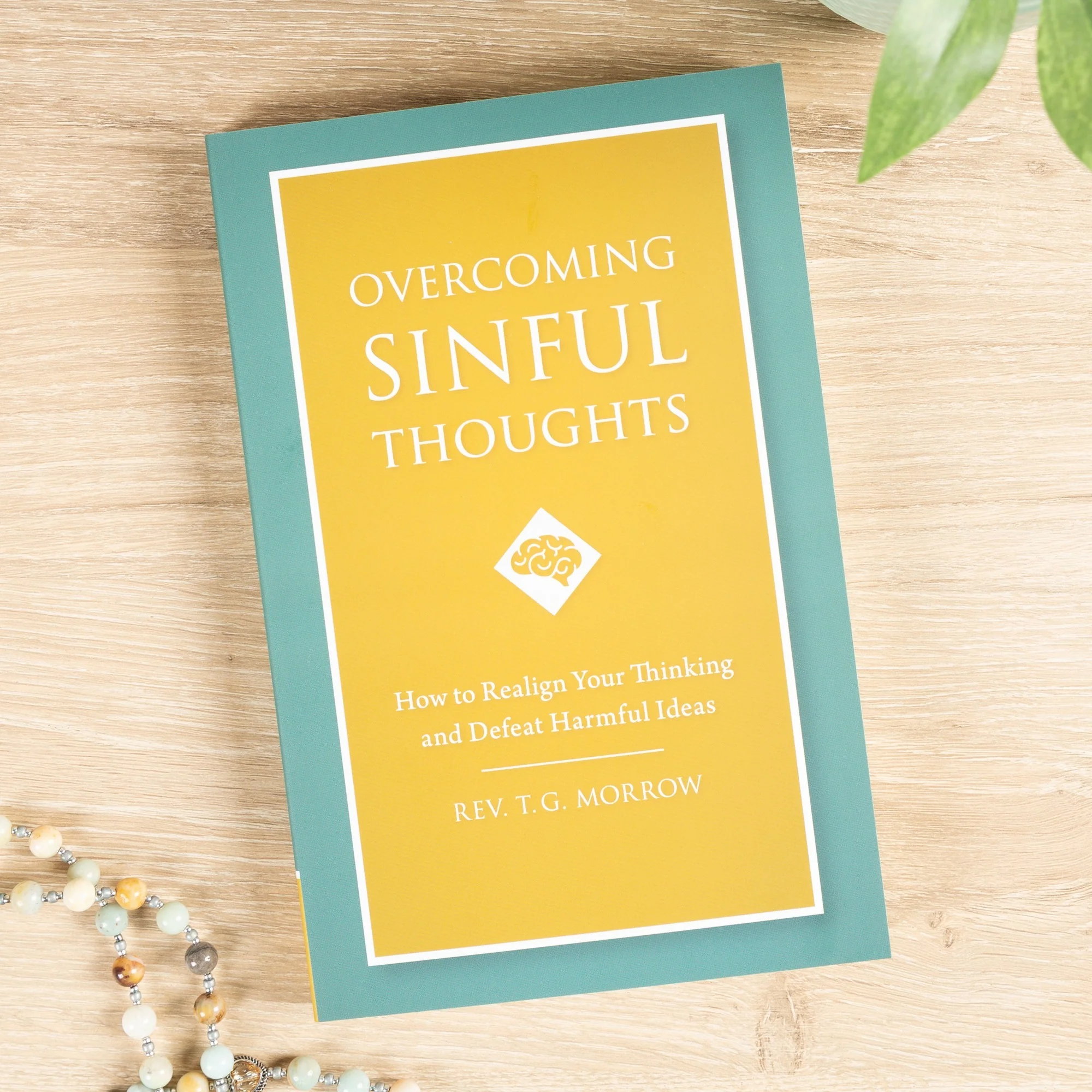 Overcoming Sinful Thoughts - How to Realign Your Thinking and Defeat Harmful Ideas - Image 2